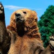 Natalie Theis de Pareja